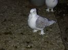 IMG-20140304-00146