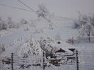 DSC01589