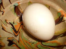 primul ou 2014