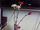 2014-03-01 15.18.20