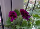 20140305_122720