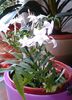 20140305_122326