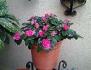 20140305_122258