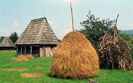 2012_07_16_casa in maramures si gluga de paie si coceni 1_rsz
