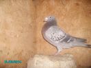 PICT0509