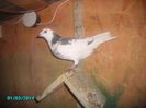 PICT0513