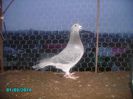 PICT0501