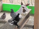 DSCN4260
