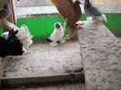 DSCN4268