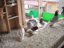 DSCN4270