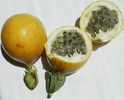 granadilla dulce