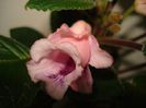 DSC07163