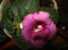 DSC07166