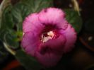 DSC07167