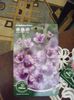 DSCF0218