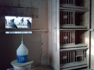 CAM00902