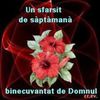 descărcare