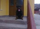 HERRA