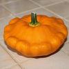 Dovlecel patisson_orange