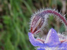 RSCN6770