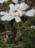 RSCN6922