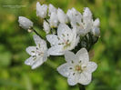 RSCN6924