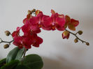 DSCN0592_002