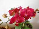 DSCN0594_004