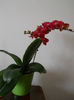 DSCN0596_006