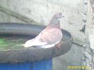 PICT0046