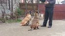 20140226_163831
