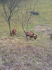 20140209_131010