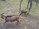 20140209_131050
