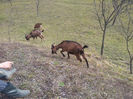 20140209_131108