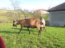 20140301_162033