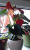 20140309_094544