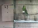 IMG00218