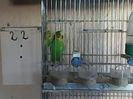 IMG00219
