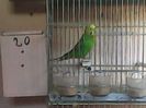 IMG00222
