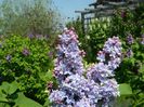 DSCN2737