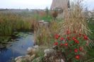 DSC09520