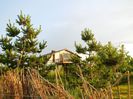 DSCN5222