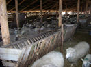 poze noi 261