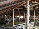 poze noi 294