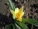DSCN0607_010