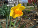 DSCN0608_011