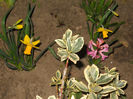 DSCN0615_018