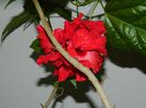 DSCN3561