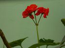 DSCN3686