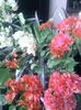 Pic_1008_831